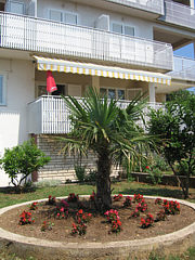 Apartmani Perani, Novalja, otok Pag, Hrvatska - Apartments Peranic, Novalja, Island of Pag, Croatia